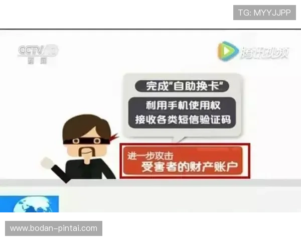 买波胆倾家荡产经历避坑指南平台对比防骗